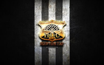 Hawkes Bay United FC, logo dorato, Campionato di Calcio della Nuova Zelanda, sfondo nero in metallo, squadra di calcio della Nuova Zelanda, logo Hawkes Bay United, calcio, Hawkes Bay United