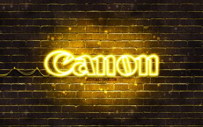 Canon yellow logo, 4k, yellow brickwall, Canon logo, brands, Canon neon logo, Canon