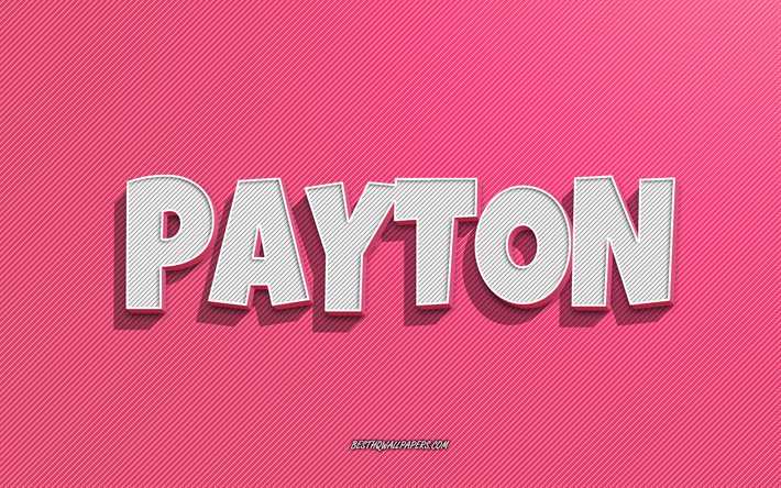 Payton, fond de lignes roses, fonds d&#39;&#233;cran avec des noms, nom Payton, noms f&#233;minins, carte de voeux Payton, dessin au trait, image avec le nom Payton