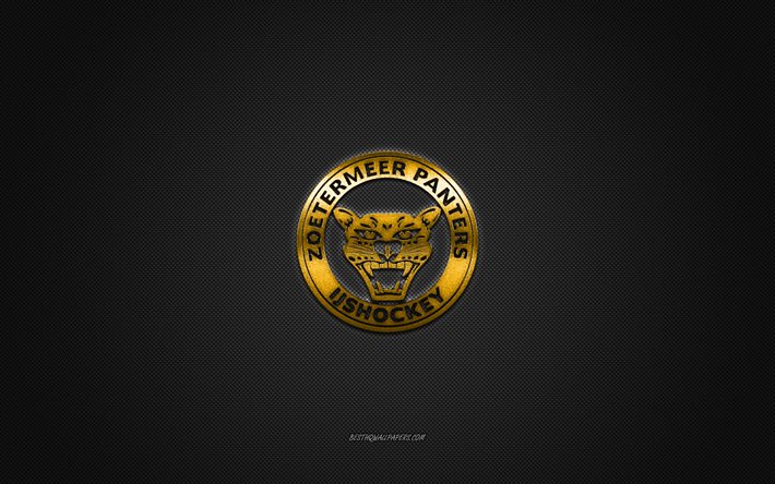 Zoetermeer Panthers, hollantilainen j&#228;&#228;kiekkoseura, keltainen logo, harmaa hiilikuitu tausta, BeNe League, j&#228;&#228;kiekko, Zoetermeer, Hollanti, Zoetermeer Panthers logo