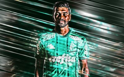 Tiago Santos, Palmeiras, Brezilyalı futbolcu, orta saha oyuncusu, portre, yaratıcı yeşil sanat, Bir Brezilya futbol Ligi