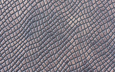 gray snake skin, 4k, reptile skin, macro, gray skin textures, gray snake, leather backgrounds, snake skin
