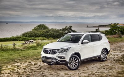 SsangYong Rexton, 4k, offroad, 2019 cars, UK-spec, Y400, SUVs, 2019 SsangYong Rexton, korean cars, SsangYong