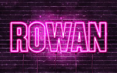 Rowan, 4k, taustakuvia nimet, naisten nimi&#228;, Rowan nimi, violetti neon valot, vaakasuuntainen teksti, kuva Rowan nimi