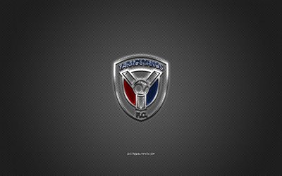 Yaracuyanos FC, Venezuelan football club, gray logo, gray carbon fiber background, Venezuelan Primera Division, football, San Felipe, Venezuela, Yaracuyanos FC logo