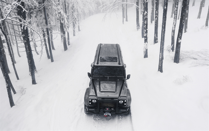 Land Rover Defender 110, forest, offroad, 2018 cars, Ares Design, tuning, winter, SUVs, Land Rover