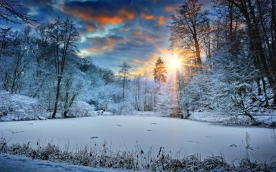 4k, winter, frozen lake, forest, sunset, snowdrifts