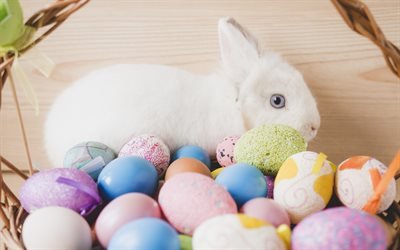 White rabbit, Easter, Easter eggs, decoration, spring