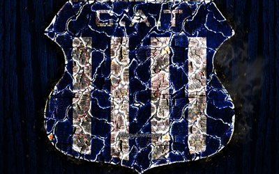 CA Talleres de Cordoba, scorched logo, Argentine Primera Division, blue wooden background, Argentinean football club, Argentine Superleague, grunge, Talleres Cordoba FC, soccer, Talleres Cordoba logo, Argentina