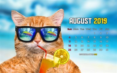 August 2019 Calendar, 4k, summer beach, 2019 calendar, funny cat, cartoon landscape, August 2019, abstract art, Calendar August 2019, artwork, 2019 calendars