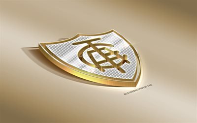 Amerika Futebol Clube, Brasiliansk Fotboll Club, Golden Silver logotyp, Belo Horizonte, Brasilien, Serie B, 3d gyllene emblem, kreativa 3d-konst, fotboll, Amerika FC