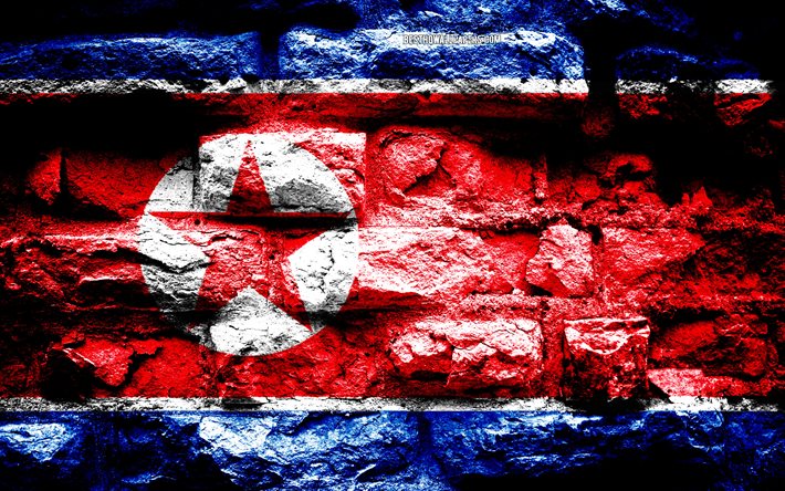 empire of north korea grunge brick textur, flagge von nordkorea-flagge auf der mauer, nord-korea, flaggen asiatischer l&#228;nder