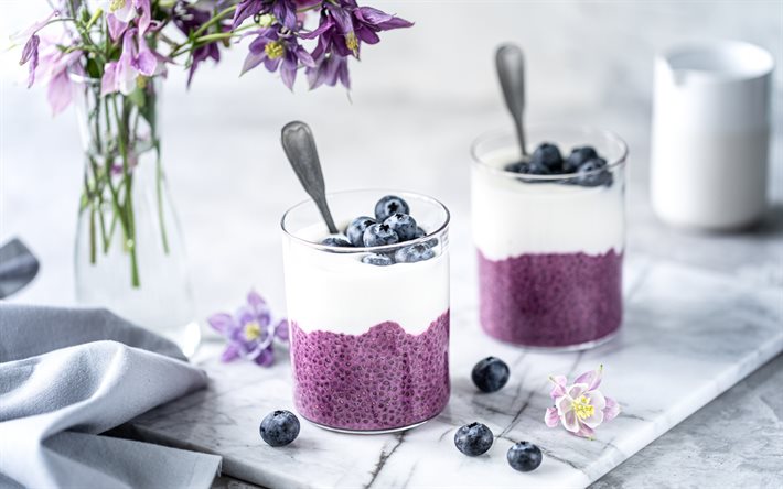 blueberry yogurt, dairy products, yogurt with seeds, breakfast, yogurt with blueberries