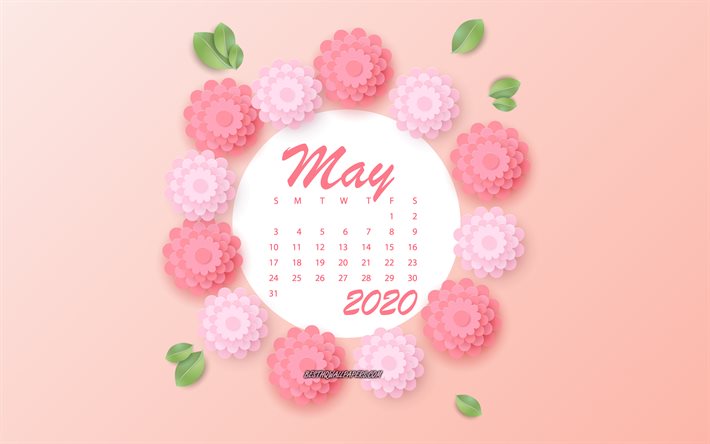 2020 May Calendar, pink spring flowers, red background, May, 2020 spring calendars, May 2020 Calendar, 2020 concepts