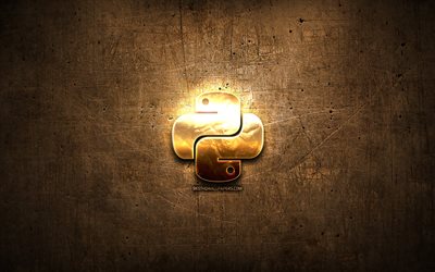 Python golden logo, programming language, brown metal background, creative, Python logo, programming language signs, Python