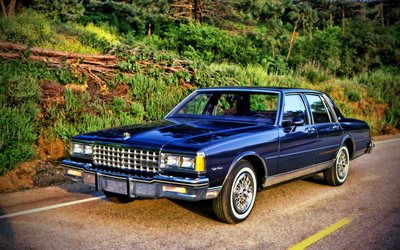 Chevrolet Caprice Classic, auto retr&#242;, 1984 automobili, auto d&#39;epoca, HDR, 1984 Chevrolet Caprice, auto americane, Chevrolet