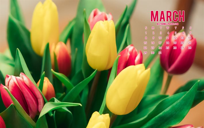 2020 Mars Calendrier, tulipes color&#233;es, fond avec des tulipes, 2020 printemps des calendriers, en Mars 2020 le Calendrier, les tulipes jaunes