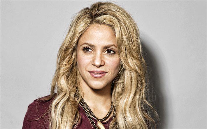 Shakira, A cantora colombiana, retrato, borgonha vestido, sess&#227;o de fotos, Shakira Isabel Mebarak Ripoll