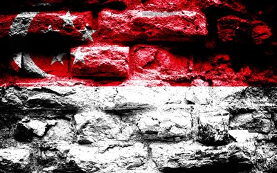 Empire of Singapore, grunge brick texture, Flag of Singapore, flag on brick wall, Singapore, flags of Asian countries
