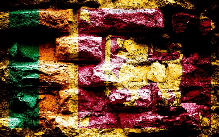 Imp&#233;rio do Sri Lanka, grunge textura de tijolos, Bandeira do Sri Lanka, bandeira na parede de tijolos, Sri Lanka, bandeiras de pa&#237;ses Asi&#225;ticos