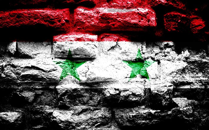 Riket i Syrien, grunge tegel konsistens, Flaggan i Syrien, flaggan p&#229; v&#228;ggen, Syrien, flaggor fr&#229;n l&#228;nder i Asien