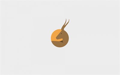 Antilop, minimal, yaratıcı, gri arka planlar, resimler, antelope minimalizm