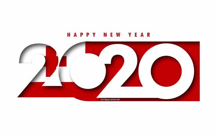 Tonga 2020, Flag of Tonga, white background, Happy New Year Tonga, 3d art, 2020 concepts, Tonga flag, 2020 New Year, 2020 Tonga flag