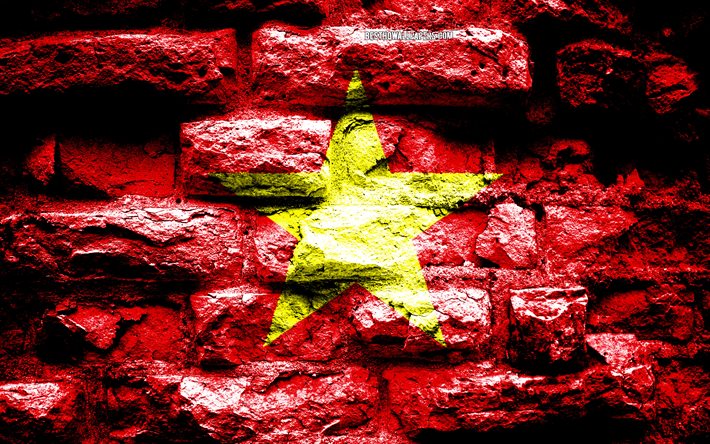 L&#39;impero del Vietnam, grunge texture di mattoni, Bandiera del Vietnam, bandiera su un muro di mattoni, il Vietnam, le bandiere dei paesi Asiatici