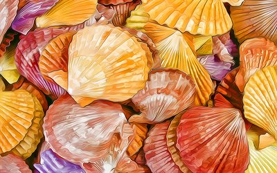 colorful shells, macro, artwork, shells textures, background with shells