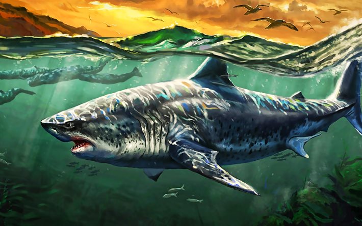 el tibur&#243;n, el depredador, el mar, las ballenas, mundo submarino, las gaviotas, las obras de arte