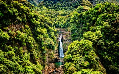 Taiwan, 4k, HDR, cachoeira, bela natureza, rock, tailand&#234;s natureza, ver&#227;o, selva