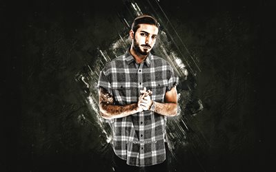 Alesso, Swedish DJ, Alessandro Renato Rodolfo Lindblad, portrait, gray stone background, Alesso DJ