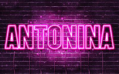 Antonina, 4k, wallpapers with names, female names, Antonina name, purple neon lights, Happy Birthday Antonina, popular polish female names, picture with Antonina name