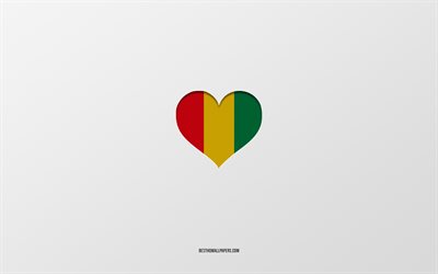 Amo la Guinea, i paesi dell&#39;Africa, la Guinea, lo sfondo grigio, il cuore della bandiera della Guinea, il paese preferito, Love Guinea