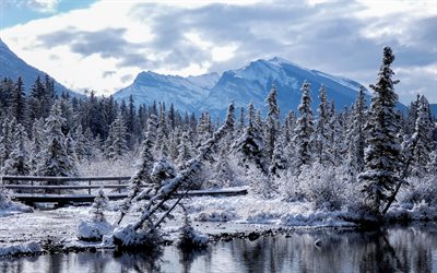 Canmore, Alberta, Montagnes Rocheuses, hiver, paysage de montagne, montagnes, paysage hivernal, Parc national Banff, Canada