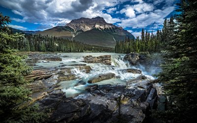 Athabasca Şelalesi, Kanada Kayalık Dağları, Athabasca Nehri, bahar, dağ nehri, şelale, orman, dağ manzarası, Jasper Ulusal Parkı, Kanada