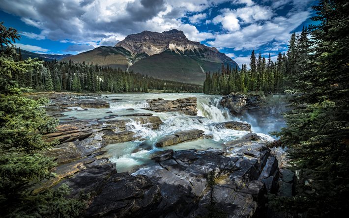 Cachoeiras athabasca, Rochosas Canadenses, Rio Athabasca, nascente, rio da montanha, cachoeira, floresta, paisagem montanhosa, Parque Nacional Jasper, Canad&#225;