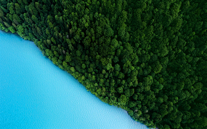 aerial view, forest, sea, summer, beautiful nature, blue water, HDR, travel concepts