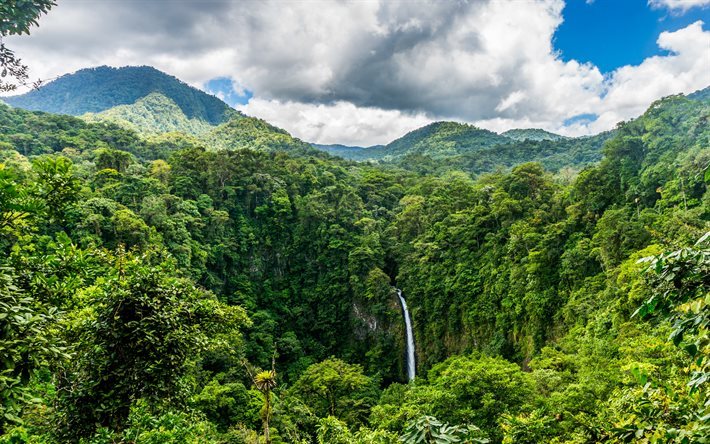 コスタリカ, ジャングル, 滝, 森林, 山々