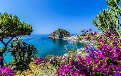 Italia, costa, mar, bah&#237;a, buganvillas, verano, Europa