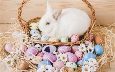 Easter, white rabbit, easter basket, spring, religious holidays, Easter eggs