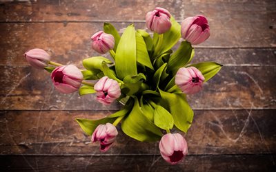 tulipanes de color rosa, la primavera, el ramo de tulipanes, flores de la primavera, vista superior