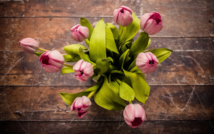 rosa tulpen, fr&#252;hling, blumenstrau&#223;, tulpen, blumen, ansicht von oben