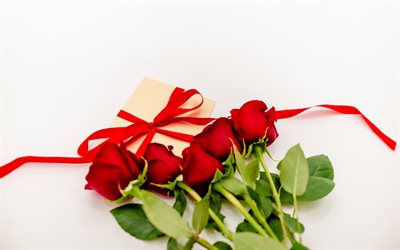 red roses, bouquet, red rose petals, gift, red silk bow, roses on a white background