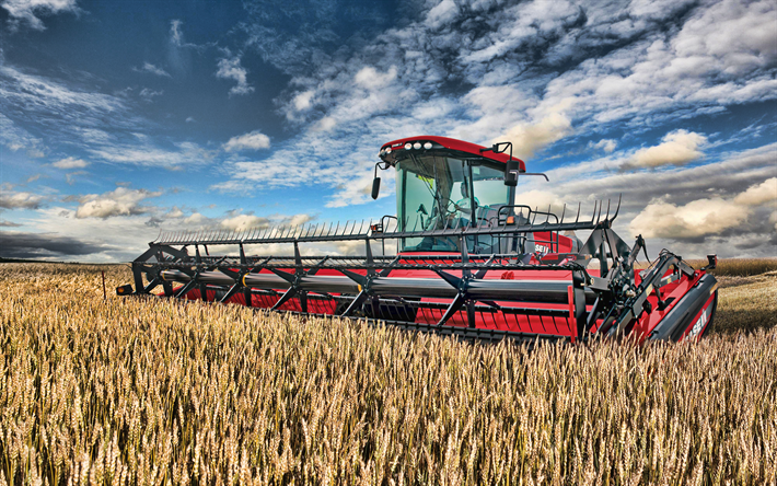 CASE IH DH253, 4k, la cosecha, el 2019 combraines, maquinaria agr&#237;cola, Caso DH303 Draper Encabezados, HDR, la cosecha de trigo, combraine en el campo, la agricultura, el Caso