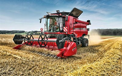 Case IH Axial Flow 5140, 4k, raccolto, 2019 combraines, macchine agricole, HDR, grano, combraine in campo, agricoltura, Case