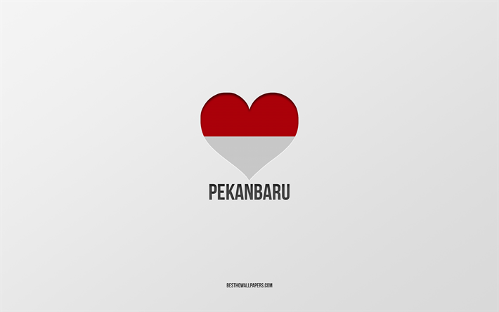 jag &#228;lskar pekanbaru, indonesiska st&#228;der, day of pekanbaru, gr&#229; bakgrund, pekanbaru, indonesien, indonesiska flagghj&#228;rta, favoritst&#228;der, love pekanbaru