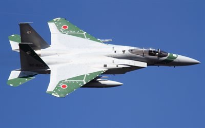 Mitsubishi F-15J, DJ &#214;rn, Japan Air Self-Defense Force, JASDF, Japansk fighter bomber, McDonnell Douglas, Mitsubishi, japanska stridsflygplan