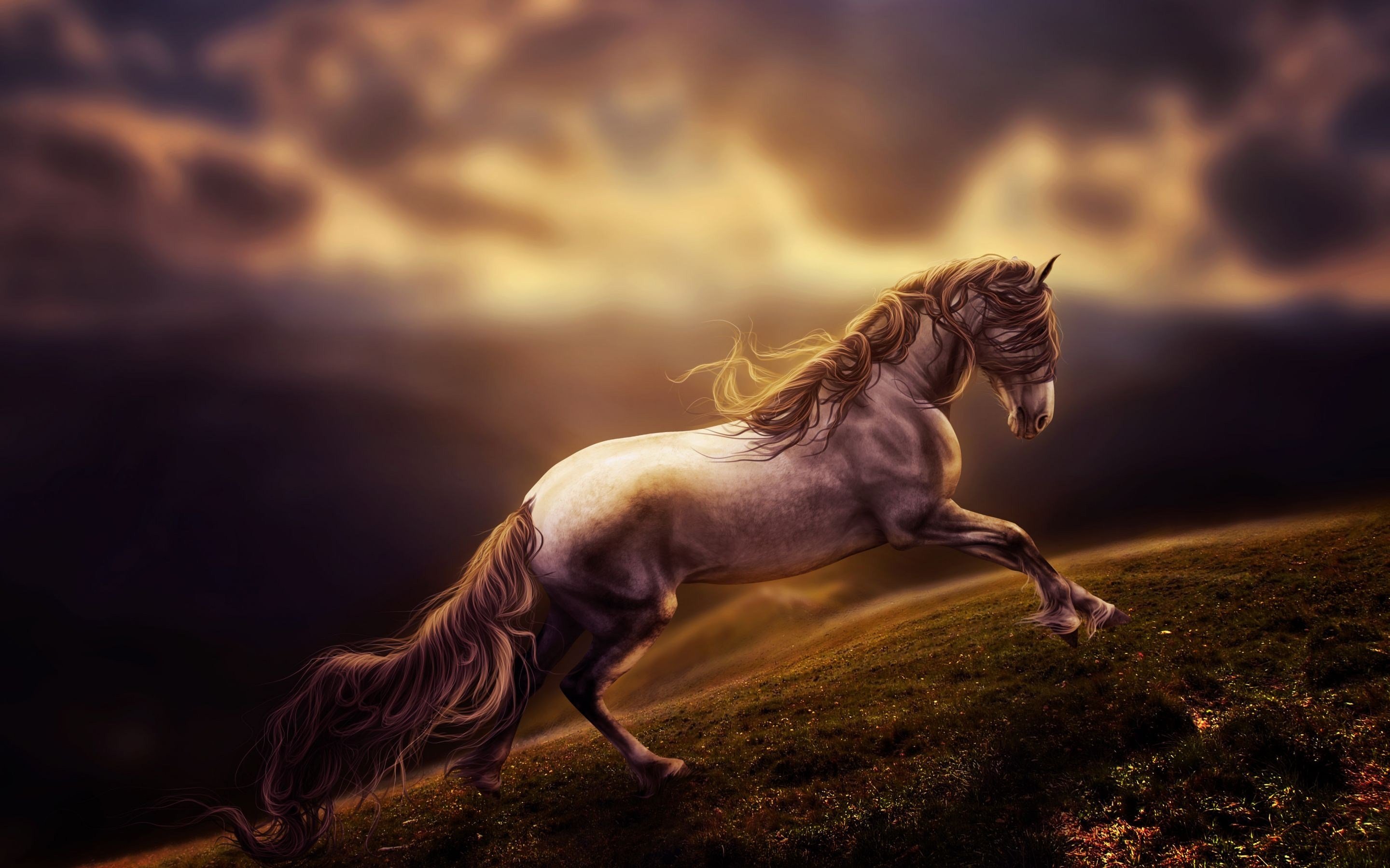 Lataa kuva käynnissä hevonen, wildlife, blur, art, vapaus, hevonen näytön  resoluutio 2880x1800. Taustakuvat työpöydälle