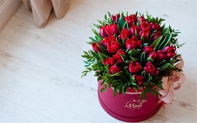 tulipas vermelhas, presente, caixa com flores, original flor surpresas, flores vermelhas, tulipas